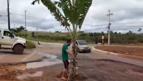 Moradores plantam bananeira em buraco na Estrada do Calafate